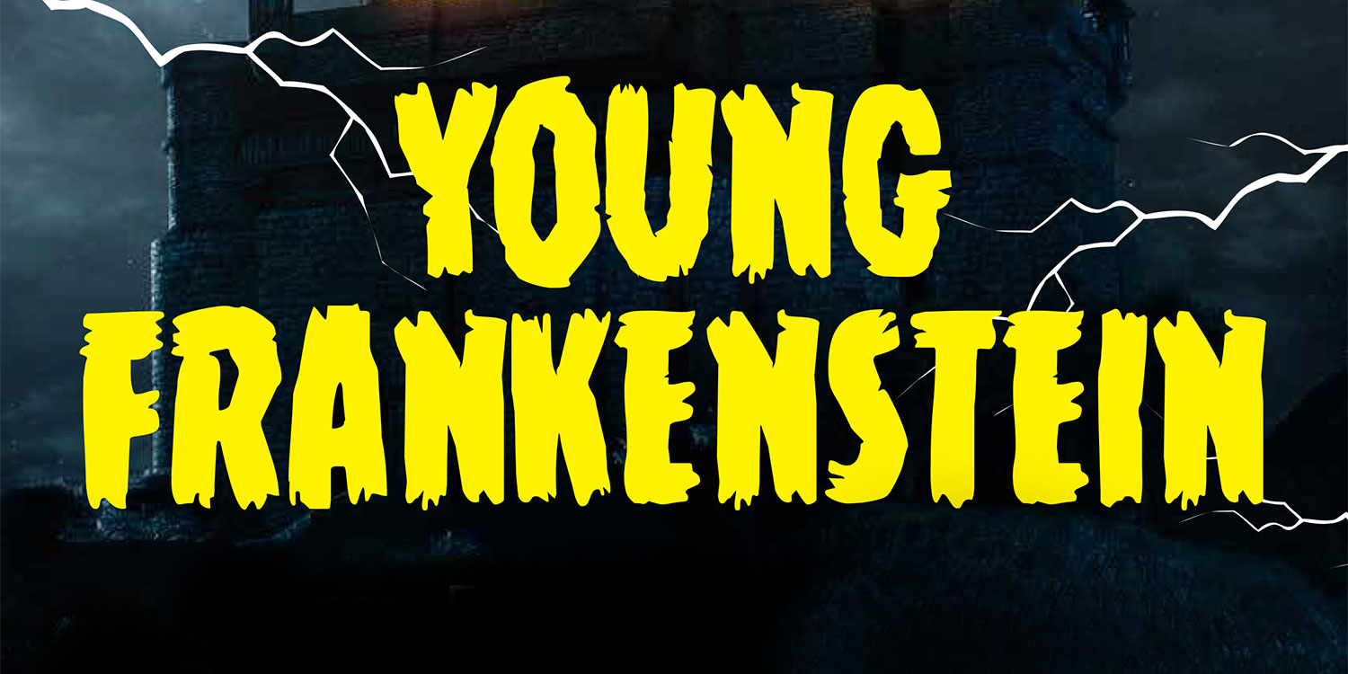 main image - Book your ticket to Young Frankenstein! Performances 19–28 March 2021